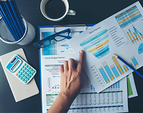 MS EXCEL AVANZADO PARA NEGOCIOS: REPORTES CON MACROS EN VBA